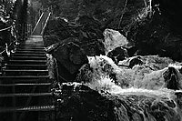 Bernhard Saalfeld - Aufstieg Gaisalptobel SW